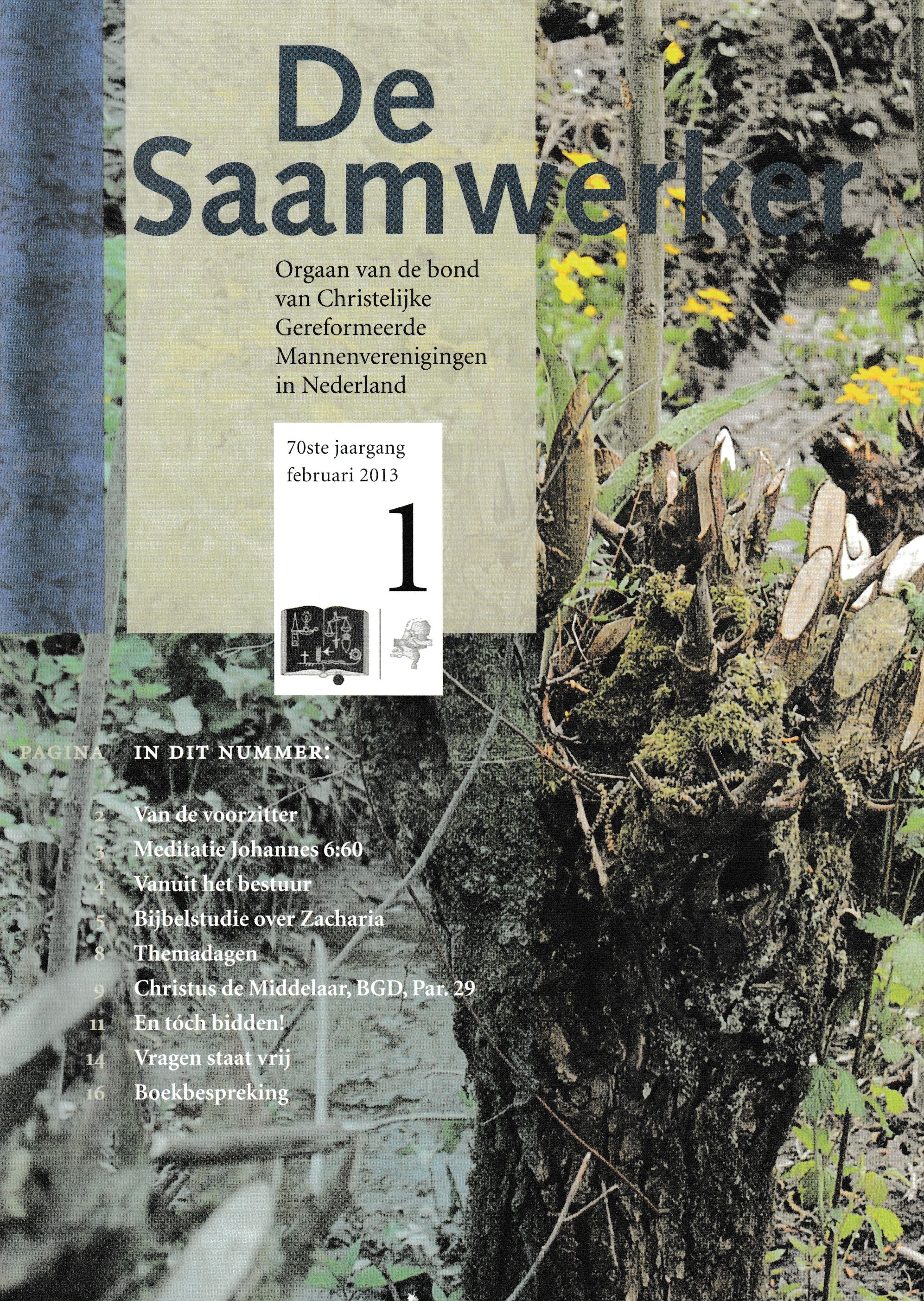 De Saamwerker 2013 nr. 1